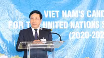Deputy PM calls for support to UN Security member candidacy, meets foreign officials