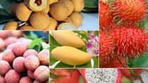 Vietnamese fruit exports to US market expected to grow by year end