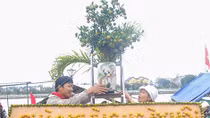 The 2nd Cam Ha - Hoi An Kumquat Festival 