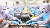Vietnam eyes business opportunities in UAE