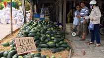 US-China trade war puts pressure on Vietnamese agricultural products
