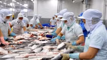 Vietnam taps opportunities to thrust exports to US
