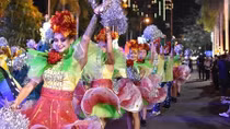 Street Carnival of Da Nang shows enthusiastic performances 