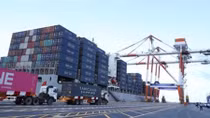 Hai Phong International Container Terminal welcomes first ship