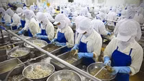 US businesses prioritise Vietnamese supply sources