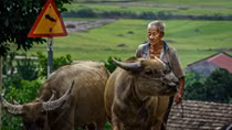 Vietnam aims to double farmers’ income by 2020 in ambitious plan