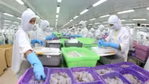 Vietnamese shrimp exporters to US to enjoy zero tariffs