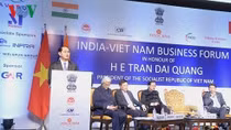 Vietnam wants deeper investment cooperation with India: President