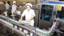 Vietnamese enterprises seek ways to enter foreign markets