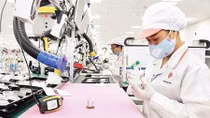 Workshop discusses future of Vietnamese labour market