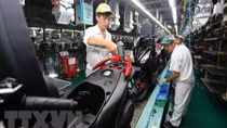 Vietnam remains attractive for investment in 2019: insider