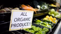 Vietnam strives to increase organic agricultural produce exports