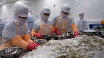 Vietnam sees high shrimp export growth to US and Japan in Q1