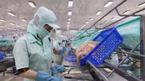Exports to bounce back in latter half of year