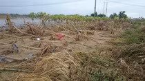 Australia supports Vietnam overcome consequences of Typhoon Damrey