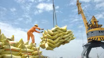 Experts doubt MOIT’s new rules will free up businesses