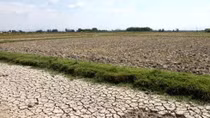 Ecosystem-based climate change adaptation reaps fruits