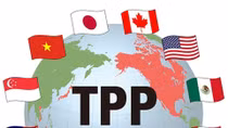 VN laws need fine tuning for TPP: report 