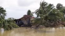WB experts assist Binh Dinh’s post-disaster rebuilding effort