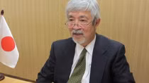 Vietnam excellent as ASEAN Chair despite pandemic: Japanese expert