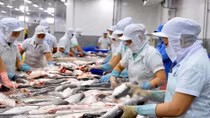 Seafood export earnings surge 6.8 percent in 11 months