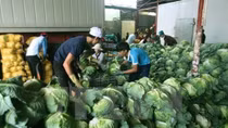Farm produce prices slump as COVID-19 hits exports