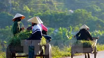 Community management employed in new rural building