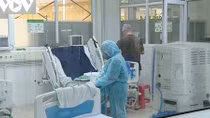 Da Nang: COVID-19 patient turns critical, relies on ECMO