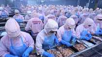 Vietnam - world’s top emerging economy: experts