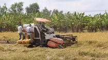 Vietnam’s agricultural sector records progress