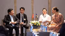 Deputy PM meets Crown Princess of Sweden