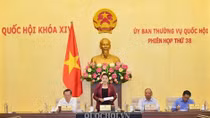 NA Standing Committee convenes 38th meeting