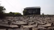 Dry season irrigation planned