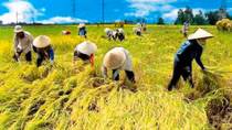 Vietnam’s sustainable poverty reduction is to implement MDGs