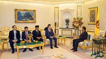 Minister To Lam pays courtesy call to Sultan of Brunei