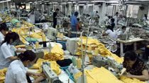Dong Nai seeks ways to support coronavirus-affected firms