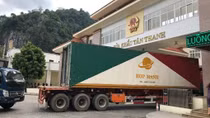nCoV outbreak impacts Vietnam’s trade with not only China: official