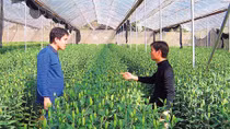 Pitfalls in hi-tech agricultural investment