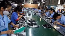 Difficult year ahead for leather-footwear sector: experts