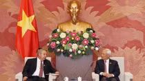 Cuba looks to learn from Vietnam’s constitutional amendment