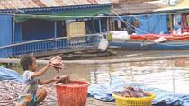 Vietnamese Cambodians build lives far from home country