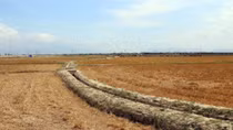 Meeting marks World Day to Combat Desertification