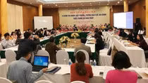 Conference reviews implementation of anti-domestic violence law in 10 years