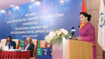 Vietnamese NA working for sustainable development: Chairwoman