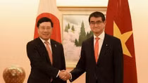 Vietnamese, Japanese FMs delighted at bilateral ties