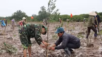 Vietnam stresses wetlands’ role in disaster risk reduction