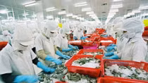 Almost 700 Vietnamese firms lose export licences to US