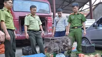 Dien Bien police seize large amount of trafficked wildlife animals