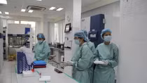 Northern border provinces in response to avian flu H7N9