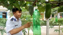 Vietnam coast guards grow own veggies on high-tech farm